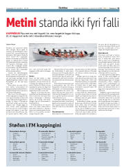 Síða 31