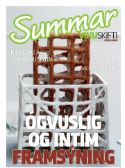Síða 33