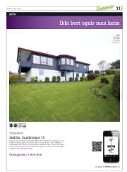 Síða 43