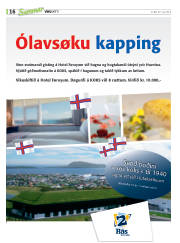 Síða 48