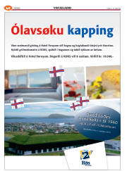 Síða 88