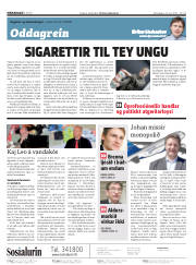 Síða 2