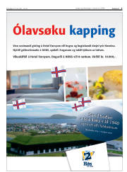Síða 3