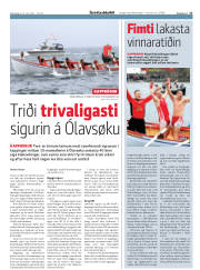 Síða 17