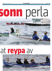 Síða 19