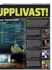 Síða 17