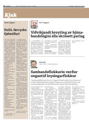 Síða 20