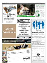 Síða 25