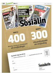 Síða 48