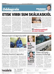 Síða 2