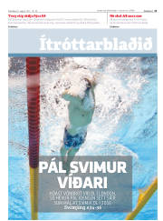 Síða 11