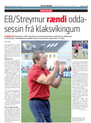 Síða 31