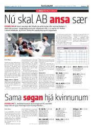 Síða 33