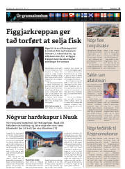 Síða 11