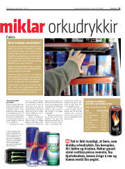 Síða 13