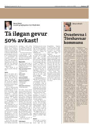 Síða 17