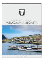 Síða 5