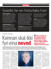 Síða 17