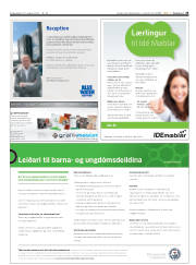 Síða 25