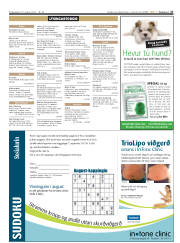Síða 27