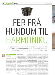 Síða 38