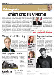 Síða 2