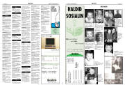 Síða 19