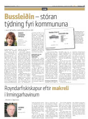 Síða 17