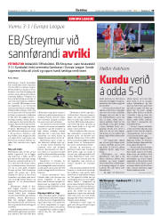 Síða 29