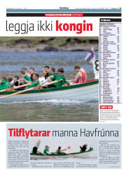 Síða 31