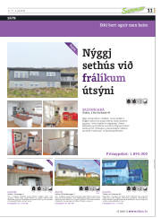 Síða 43
