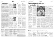 Síða 6