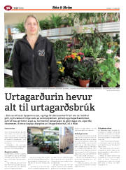 Síða 84