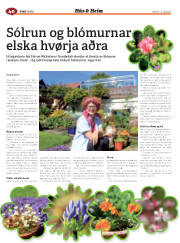 Síða 88
