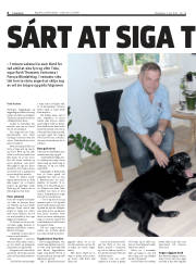 Síða 6