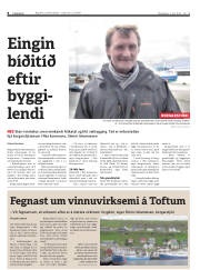 Síða 8
