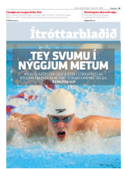 Síða 13