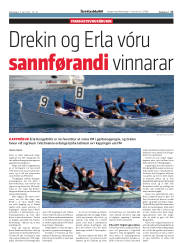 Síða 17