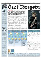 Síða 32
