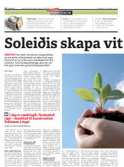 Síða 14