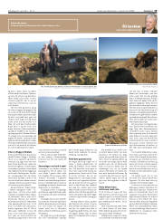 Síða 19