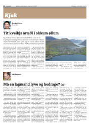 Síða 24