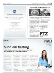 Síða 29
