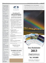 Síða 31