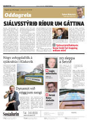 Síða 2