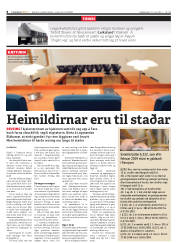 Síða 8