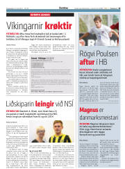 Síða 19