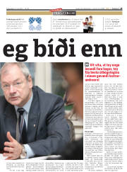 Síða 29
