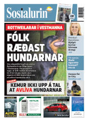 Síða 1