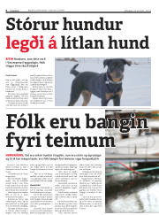 Síða 6